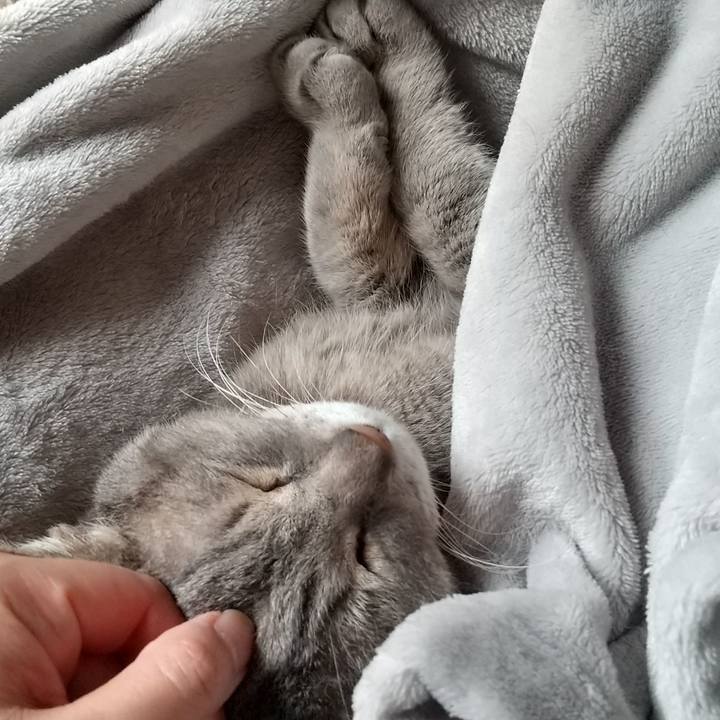 E8c328b5 68ed 4265 b677 e1de5d59d5df 1684026791832