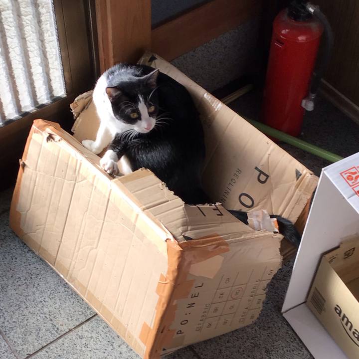 E8c3416b 87f4 43a8 be19 a18627698cff 1641173397427