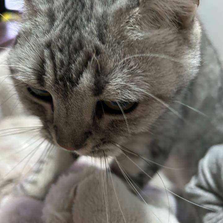 E8c3495f ec4a 4dd1 9d2b ed9afda8a1bf 1701778896702