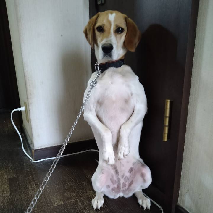 E8c3557a 2491 412f bb53 c394dc4602b4 1625630760771