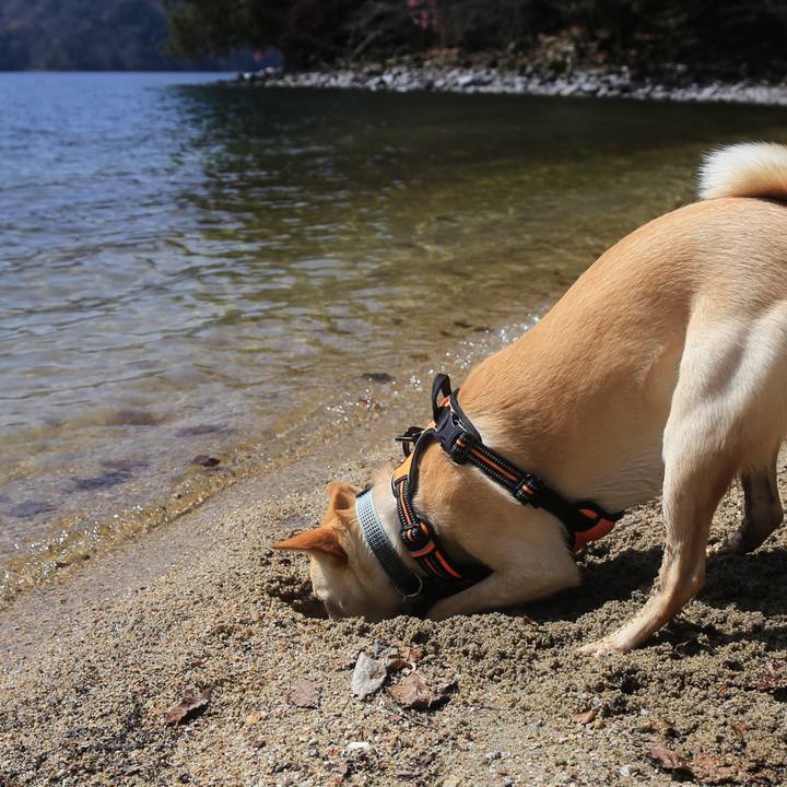 E8c39434 111f 4d83 9e53 898a542bd6f6 1525166516568