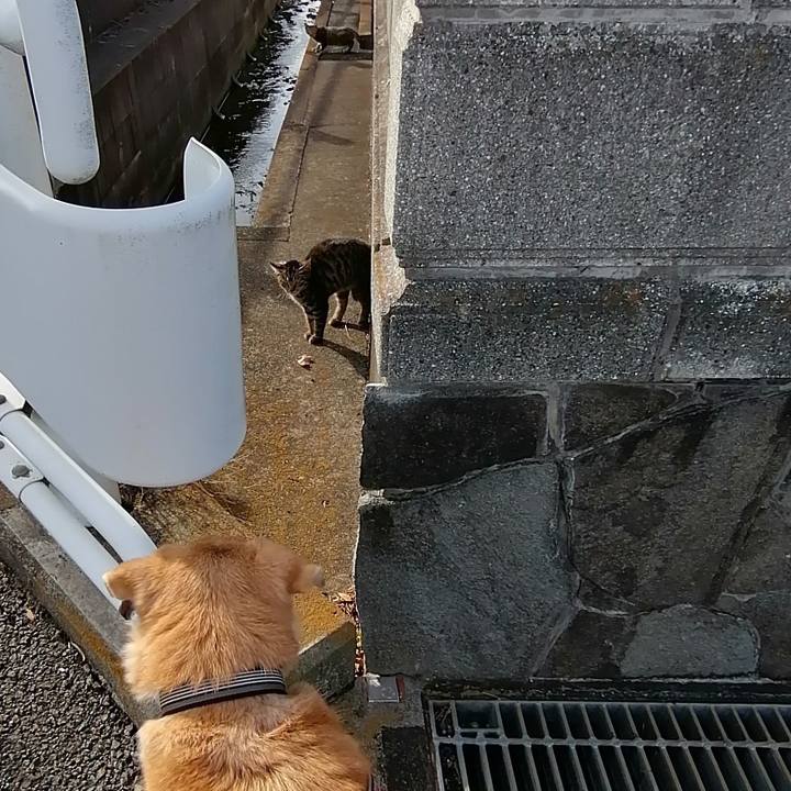 E8c40d17 21bd 4199 b8d2 4ad3886ea313 1606712207087