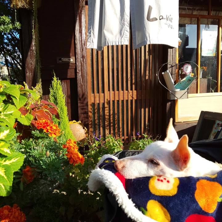 E8c41050 0dc6 4fa3 9bdc 9f664d0c1e0b 1602717315416