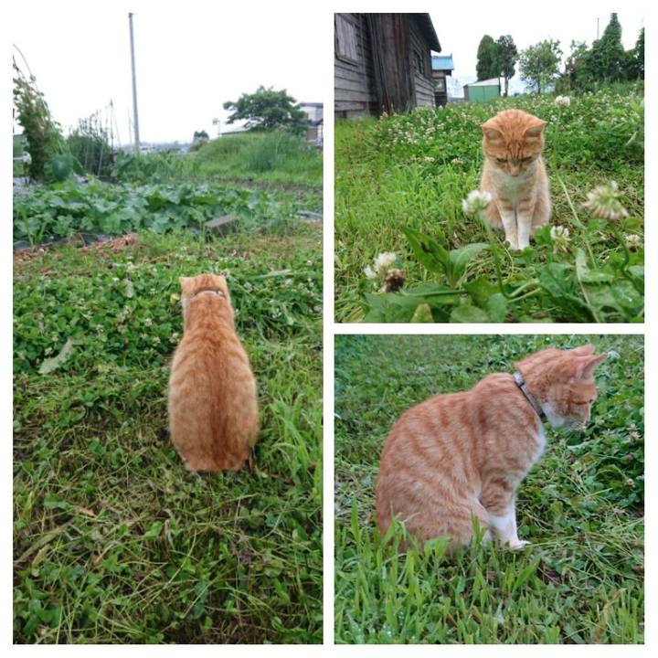 E8c4299c 0892 4153 b197 db9df7ed1e84 1594112272772