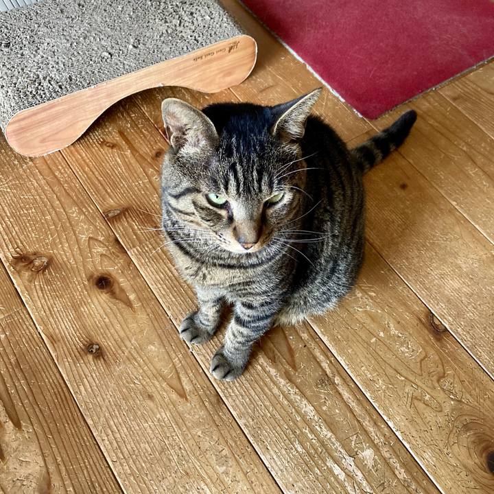 E8c429ce 09c8 4dea 845e 8d29c61f9922 1687820689745