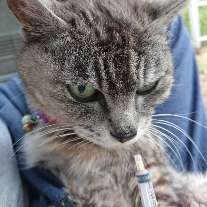 E8c43a15 608b 454e aeed da4d6521235c 1594674475966