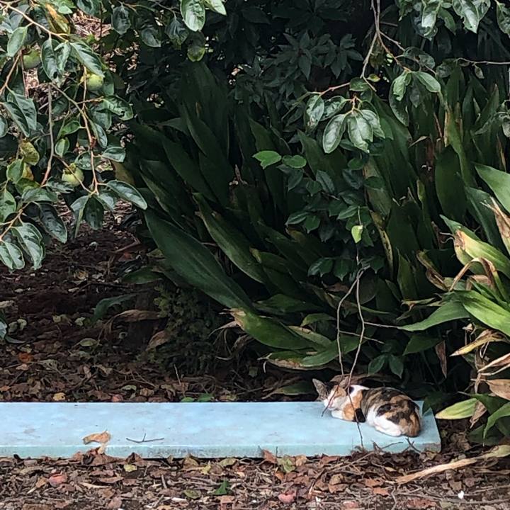 E8c44f20 fe9b 4b4f 99f1 5bd8a9f66677 1568771575300