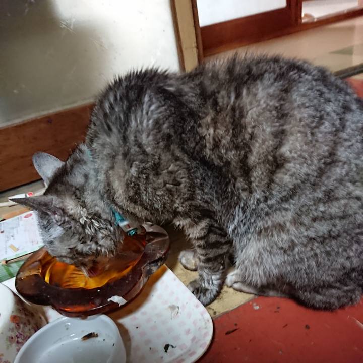 E8c4c066 9e75 4d0c 8524 5b436662c2ab 1564776422170