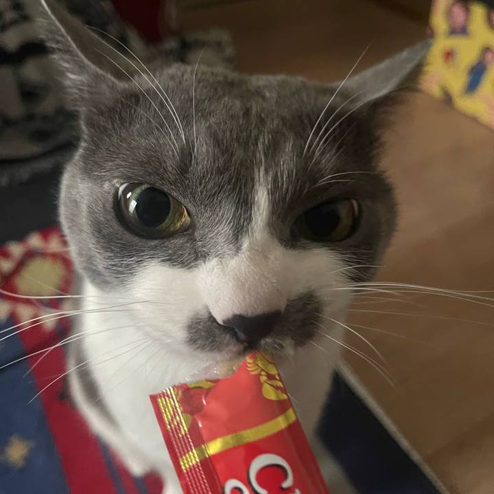 E8c4e108 156a 41d7 908d 13538e470708 1679646077686