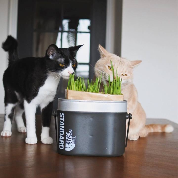 E8c5202c c068 44d9 bd01 9ad0718318b3 1712212520397