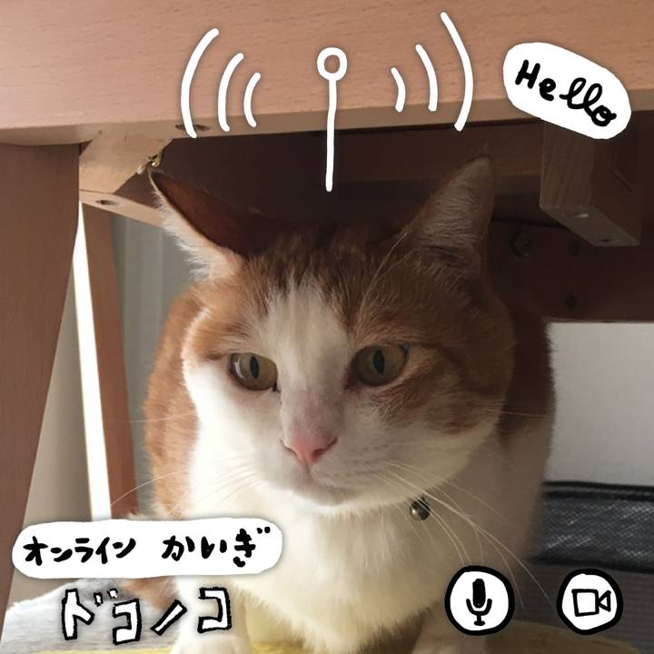 E8c54f59 ab6f 45d7 bb2f 9a4c0339918d 1590702788509