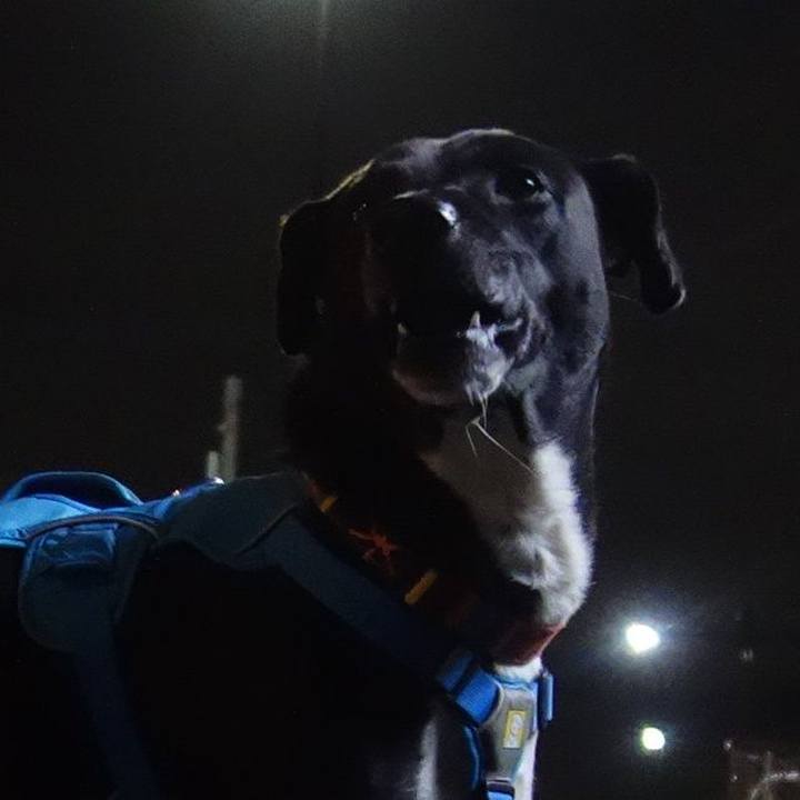 E8c56a0c 18fc 456d 984e adc0e6da64c3 1607077919597