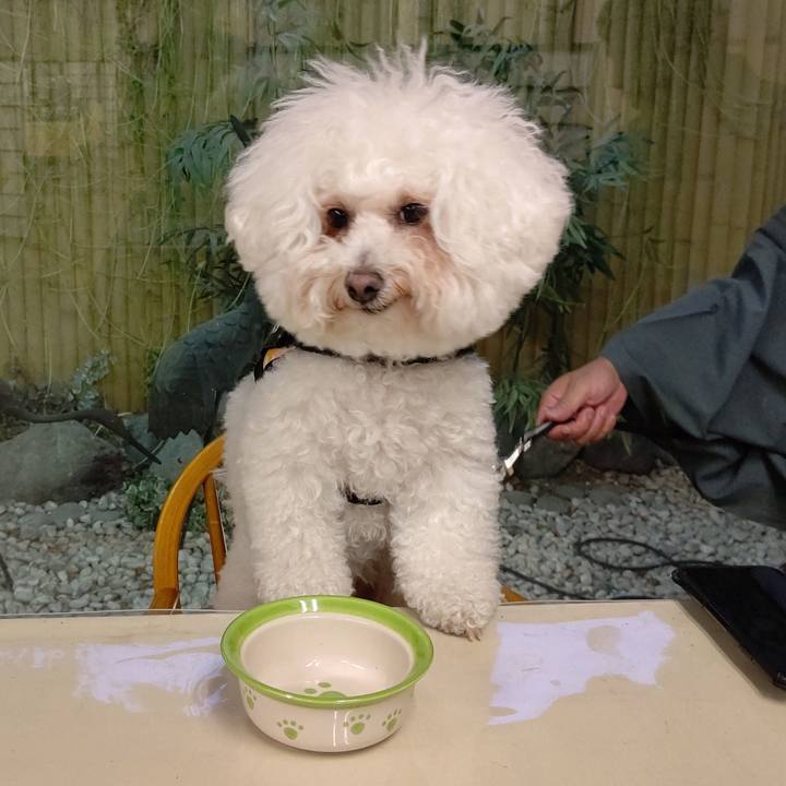 E8c56bed 3875 4a5b acdb 76706331863b 1688111130108