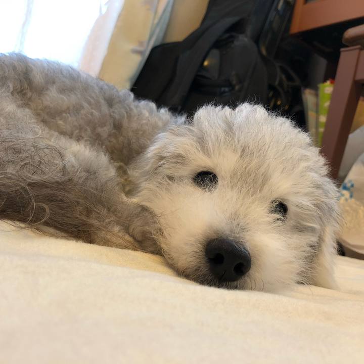 E8c5977c a363 4ad7 9890 b1841f8ef9c6 1674405051840