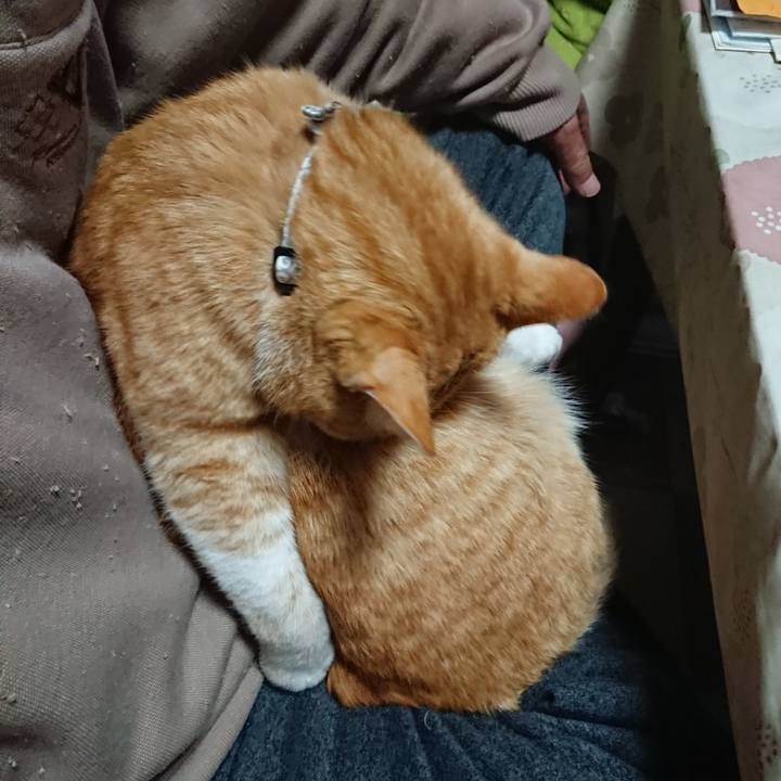 E8c5bd9f f28d 466c 933e f7db36bbf7a9 1587674957425