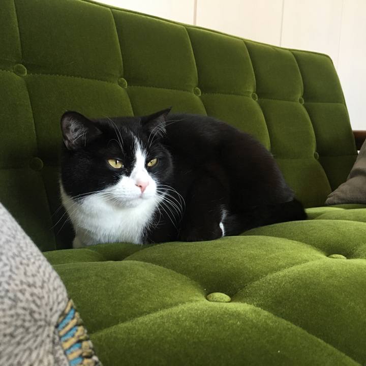 E8c60039 4789 4c60 a640 7c1b06d30c93 1587782293291