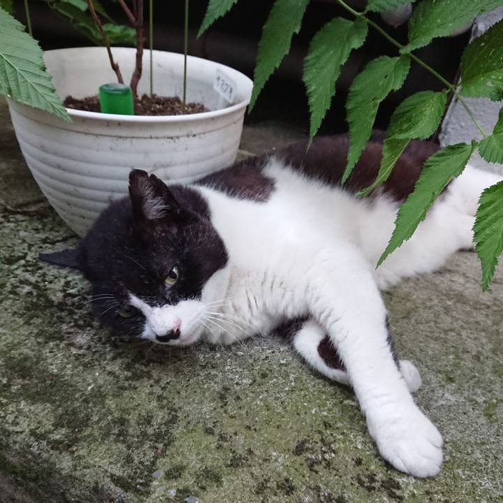 E8c665bb 7be0 4291 bf40 2800ed4296ac 1656508813858