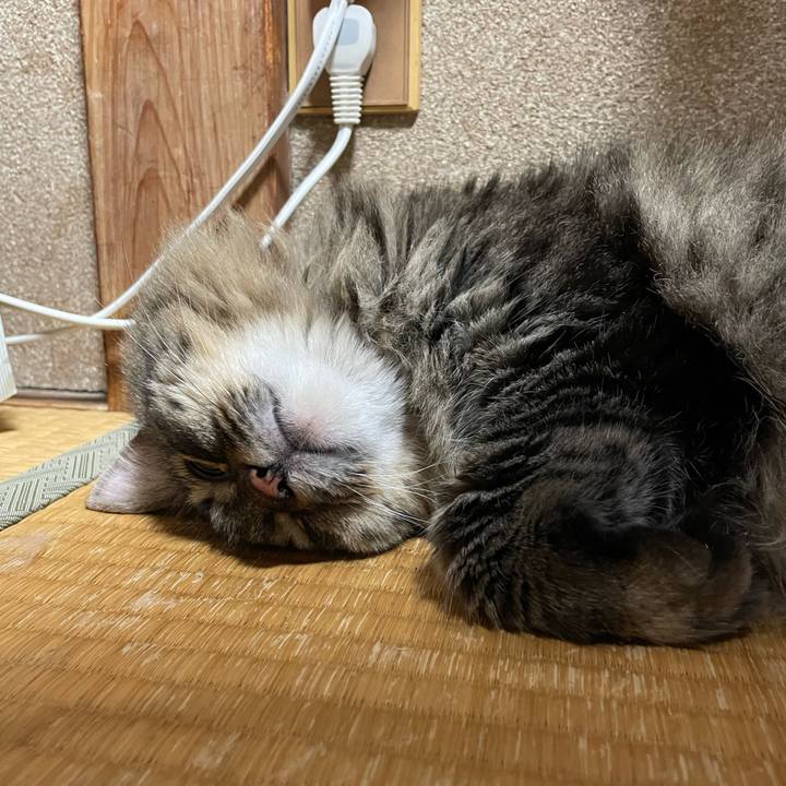 E8c67f74 5ca5 4fd2 b2fe 3fea76c7f68d 1754014369490