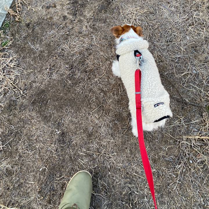 E8c68481 72f9 4364 8538 159b6777a247 1740003200376