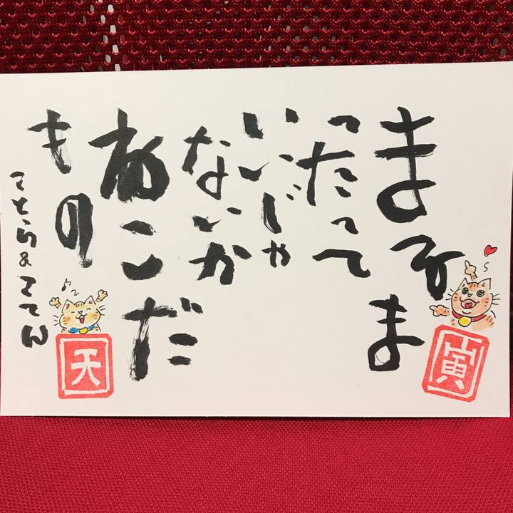 E8c70e53 381b 4e16 a341 a89d5d6f7f3d 1554666903195