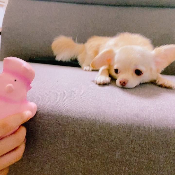 E8c7187b 2171 427b 98ac dcd52b159eb7 1630036939416