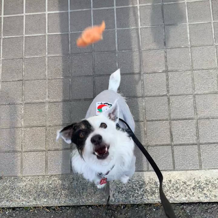 E8c72f1d 4145 4e76 a4c7 672ba0746fd3 1684396600128