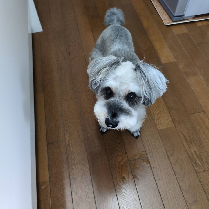 E8c73200 85f2 40be 82a6 0adecbe4049c 1759189536921