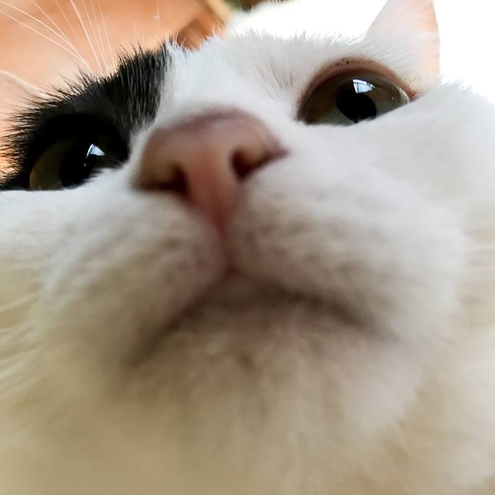 E8c73567 95c4 4932 9990 adf23621ea49 1531839835998