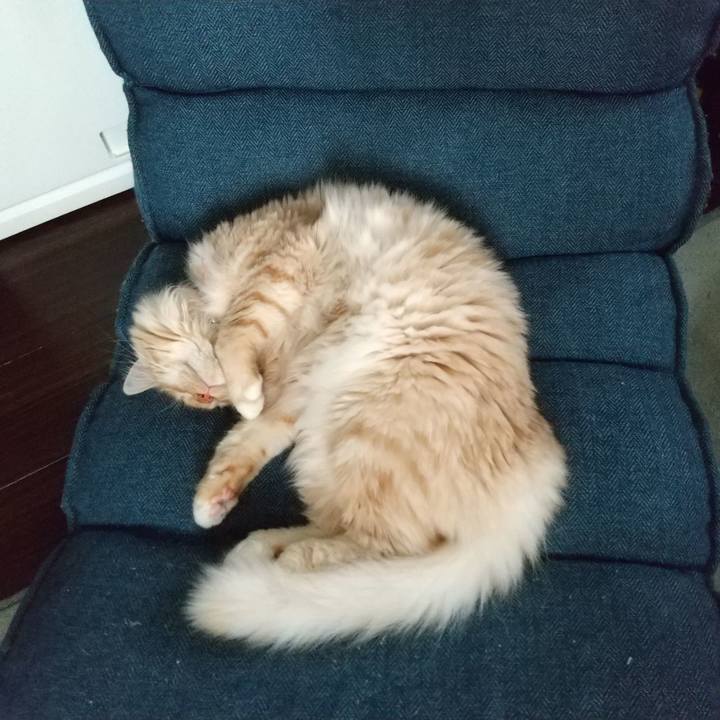 E8c73723 7f9d 4725 a569 28b8b47c89e6 1626229835665