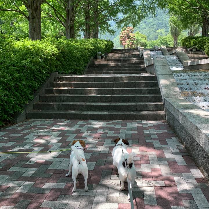 E8c76330 4676 4d22 962e dcee9fd1efce 1592045050921