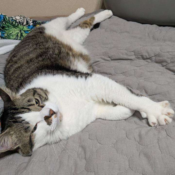 E8c77fb9 c19a 4c46 ae11 bf8508083e9c 1762034425122