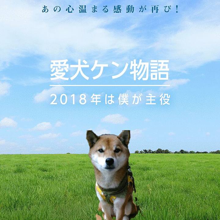 E8c7972a 5026 4eac a8dc 482f8719d980 1513782567831