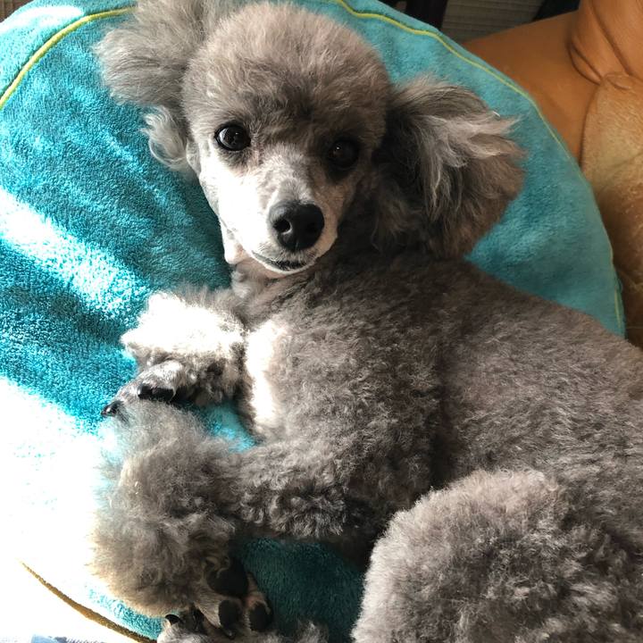 E8c7bf56 8141 4276 b8bd d584ff97b14d 1587033790498