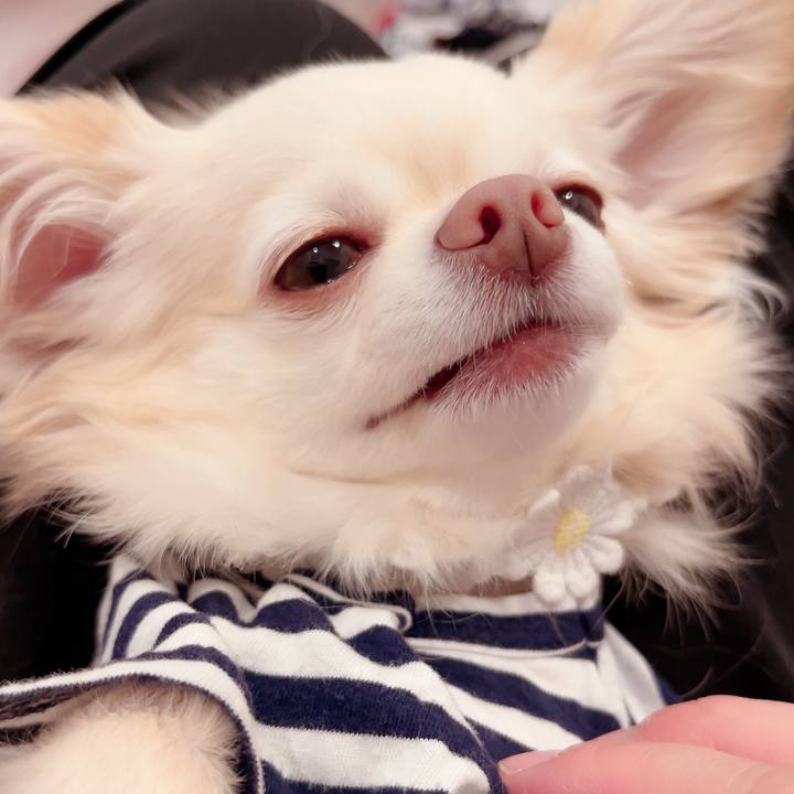 E8c7ed02 696e 46f8 9fe9 a5b2c6103442 1718892218920