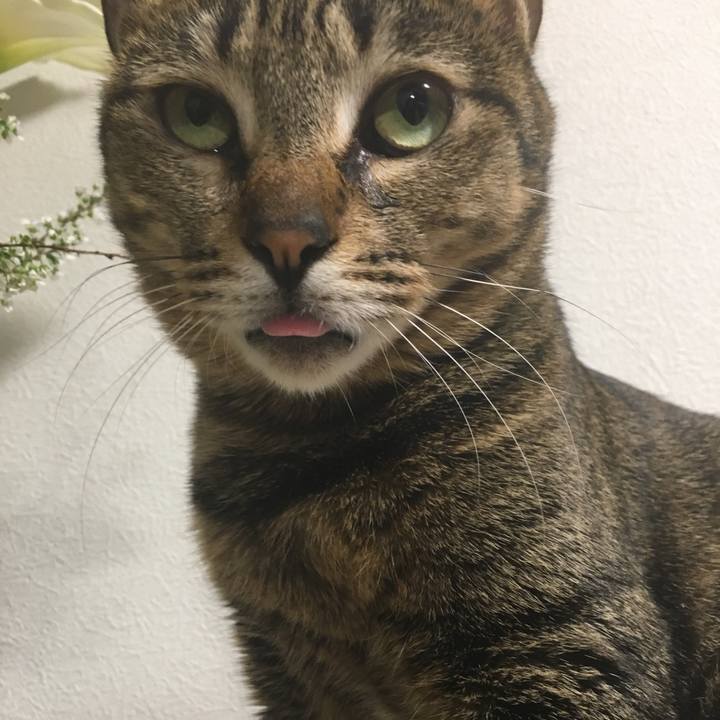 E8c80479 06d0 4cf1 8ecc bdbca26c18cb 1519396152064