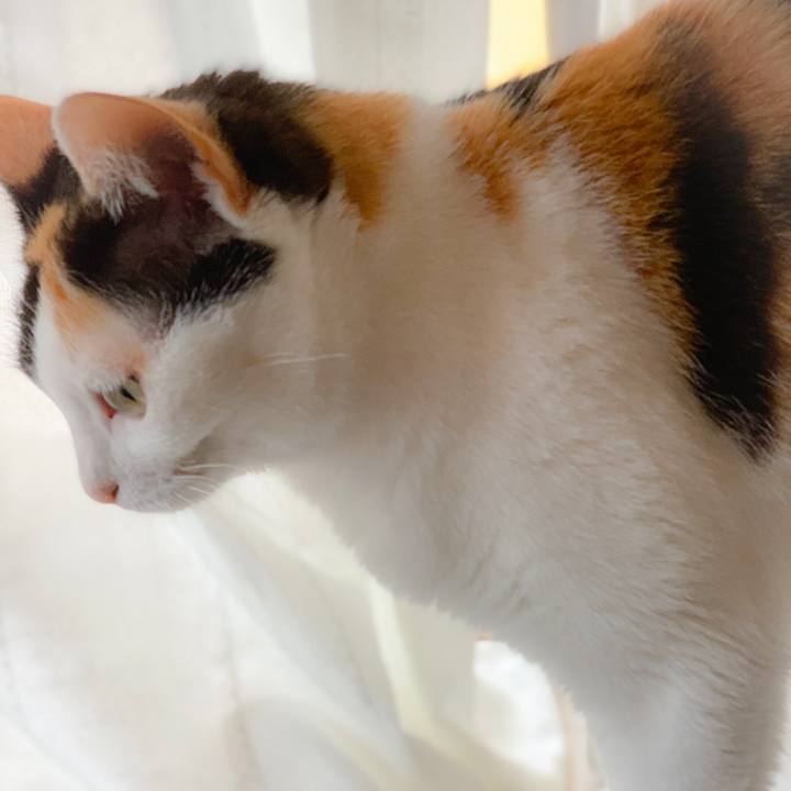 E8c82c4f 813d 4f8d 8eb6 06dc5657dd30 1562204080547