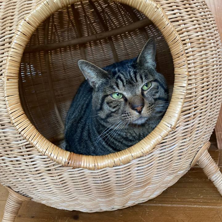 E8c84ca8 8bbf 4b98 8e01 0d0374ec646a 1678403701375