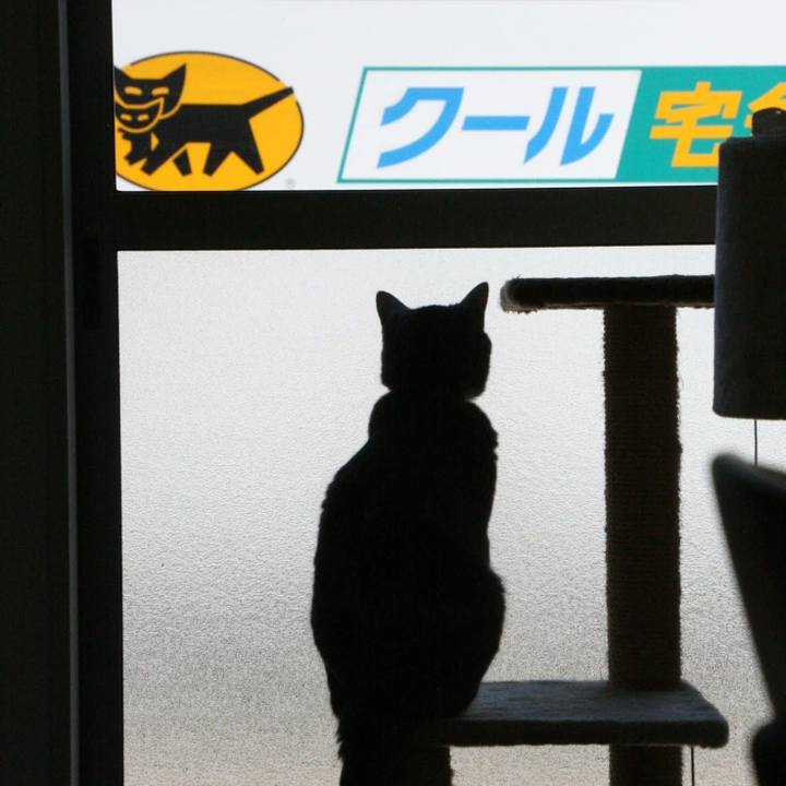 E8c86754 c7d9 4ce8 9a56 a00daaca8bb9 1533623359635