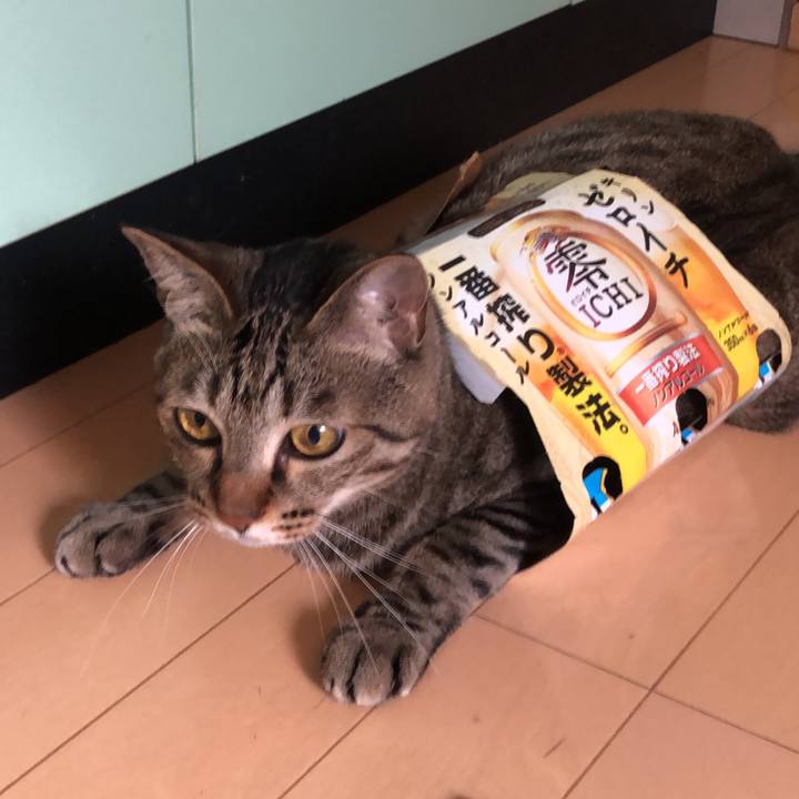 E8c8d16b fe84 4c3c b7eb 734ebb5396f8 1622408978609