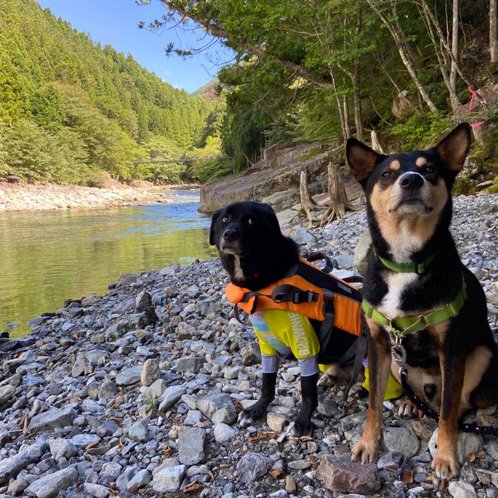 E8c8d842 5627 4e79 8b20 92f506759b45 1630244765678