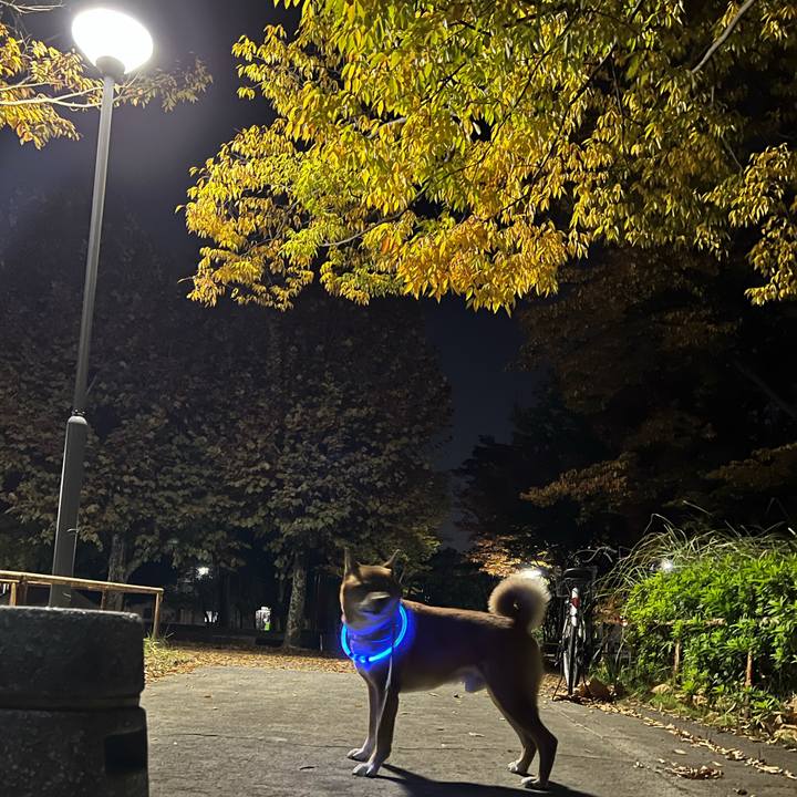 E8c8ee9d cf02 42a9 9bad 9459d0604b7a 1667575918694