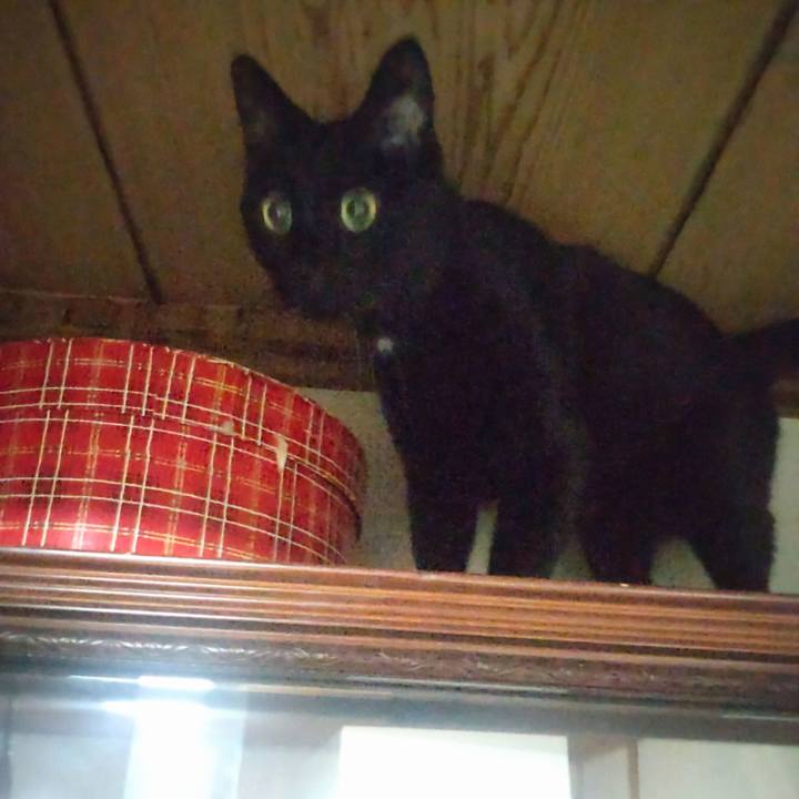 E8c96751 3d8f 46db ab77 3b4679d49d62 1735820814068