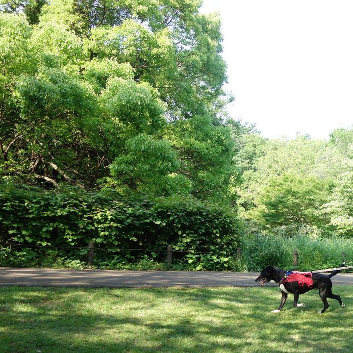 E8c97ac7 9f3d 4a5d 82cb c9c2956ca74e 1683764469938