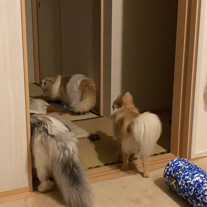 E8c97dba 7ca9 4c66 b9d9 d828f3a6cd32 1617456877212