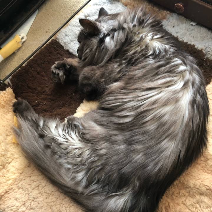 E8c99d49 084d 4eee 8985 58d55c59bfa2 1551485630654