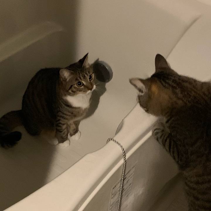 E8c9a8bc 6f29 4eff b056 cb28edb26457 1544355126592