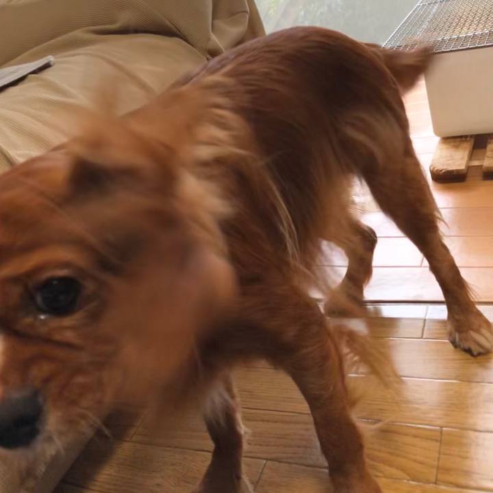 E8c9be36 6abb 47d7 a242 5200b272b1de 1568904678751