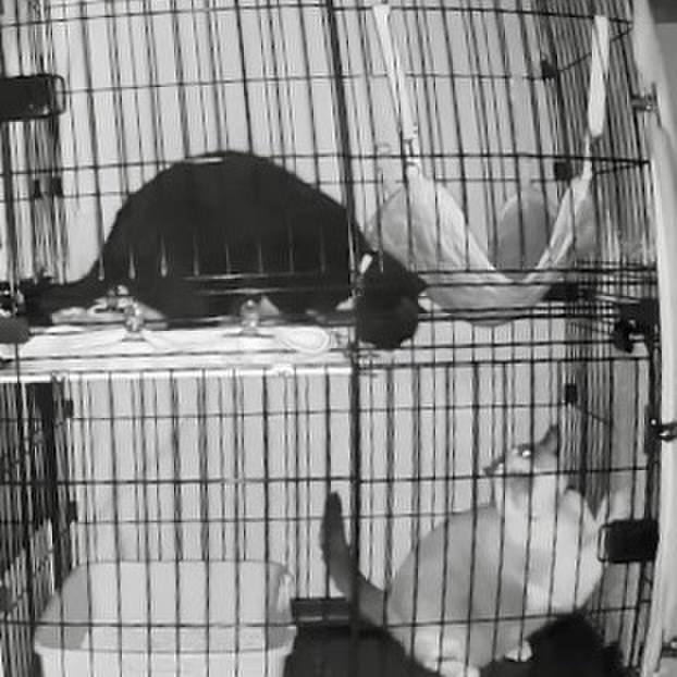 E8c9f2c8 7ea3 4a32 810c 3156585b1b10 1733511970517