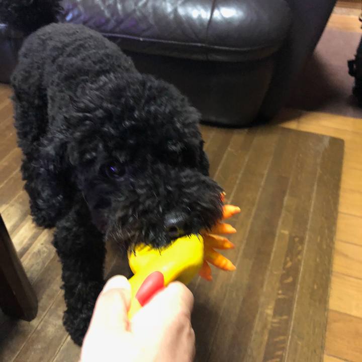 E8ca6cc0 e383 444d 8896 dd722bd27ab4 1507970102569