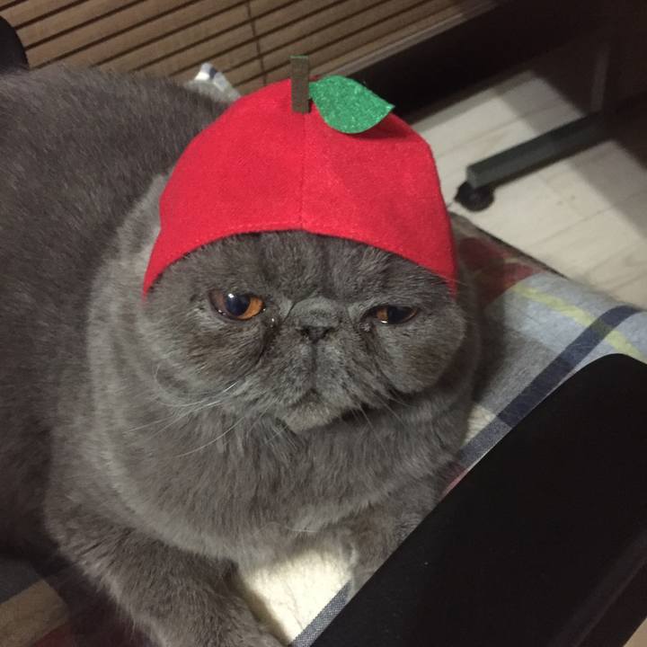 E8ca6f5b 4fdb 49f1 81ba de7a216930c4 1508062545776